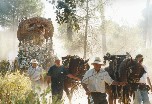 CABALLOS DE VALENCIA EN EL CAMINO DE HINOJOS