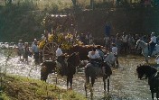 CARRETA NUEVA EN EL QUEMA